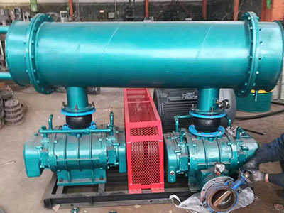 雙極串聯高壓羅茨鼓風機圖片1