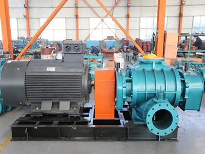 羅茨鼓風(fēng)機 羅茨鼓風(fēng)機