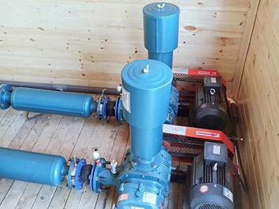 羅茨風機 羅茨風機